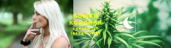 спиды Аркадак